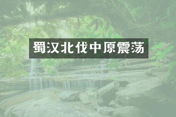 蜀汉北伐中原震荡