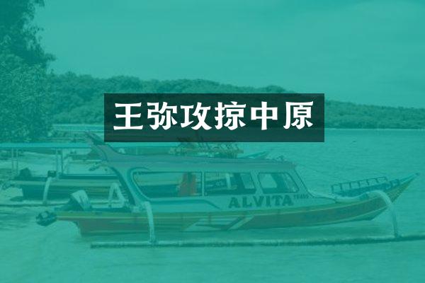王弥攻掠中原