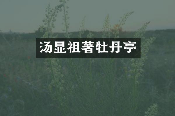 汤显祖著牡丹亭