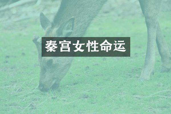 秦宫女性命运