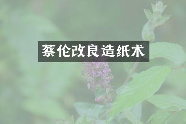 蔡伦改良造纸术