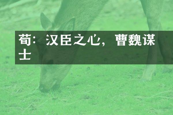 荀彧：汉臣之心，曹魏谋士