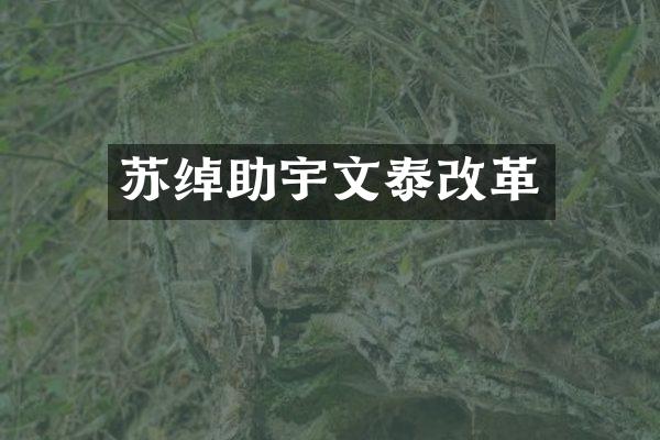 苏绰助宇文泰改革