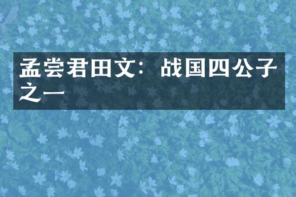 孟尝君田文：战国四公子之一