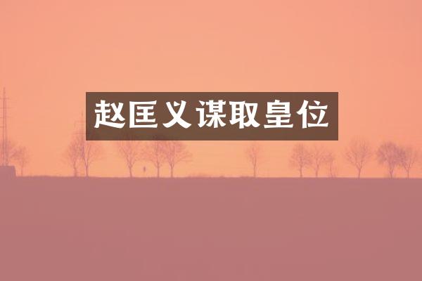 赵匡义谋取皇位