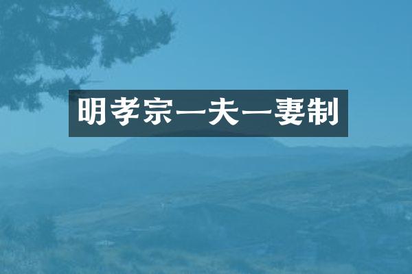 明孝宗一夫一妻制