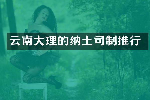 云南大理的纳土司制推行
