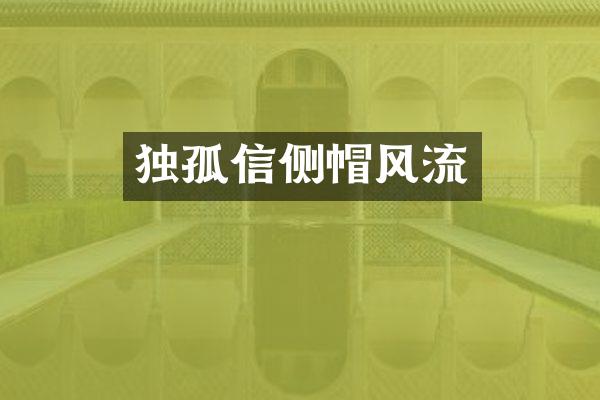 独孤信侧帽风流