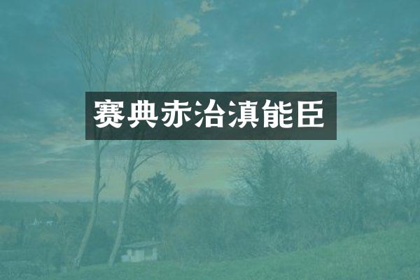 赛典赤治滇能臣
