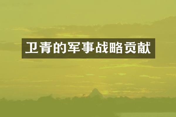 卫青的军事战略贡献