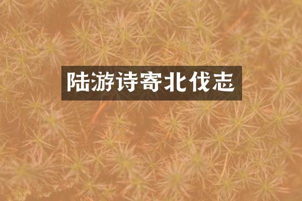 陆游诗寄北伐志