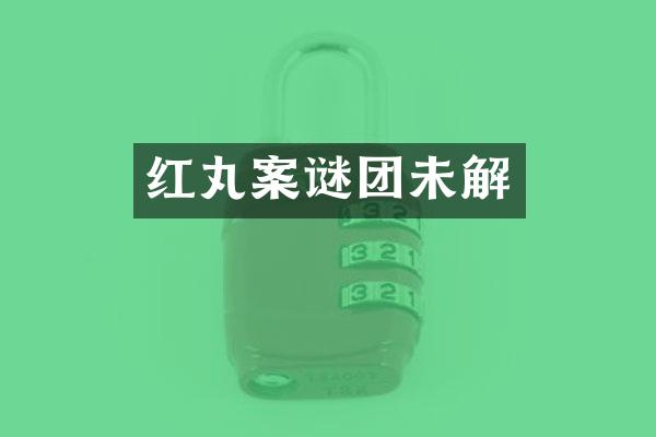 红丸案谜团未解