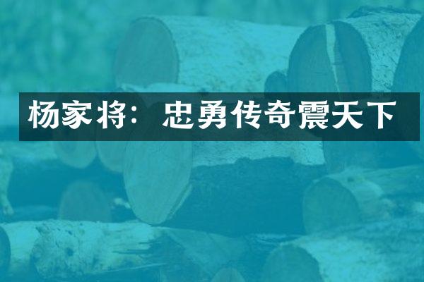 杨家将：忠勇传奇震天下