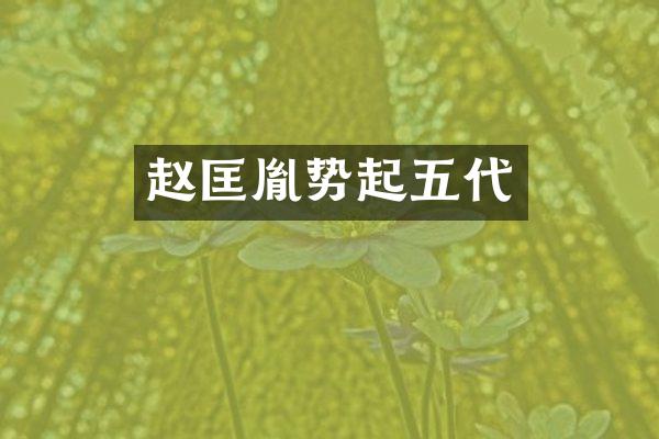 赵匡胤势起五代