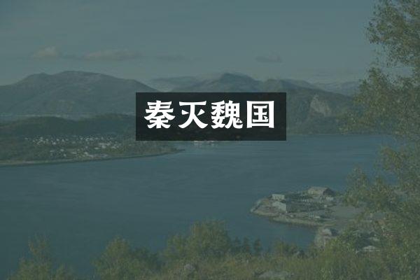 秦灭魏国