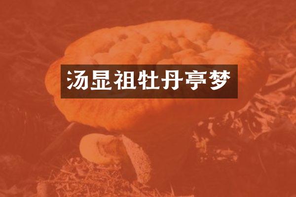 汤显祖牡丹亭梦