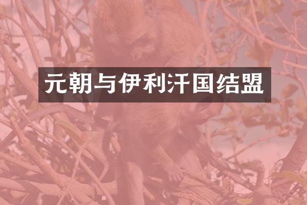 元朝与伊利汗国结盟