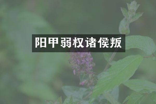 阳甲弱权诸侯叛