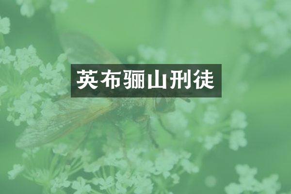 英布骊山刑徒