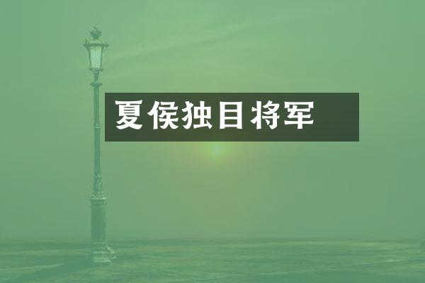 夏侯惇独目将军