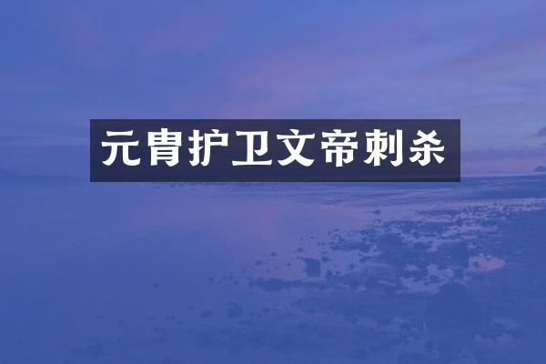 元胄护卫文帝刺杀