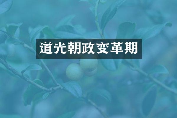 道光朝政变革期