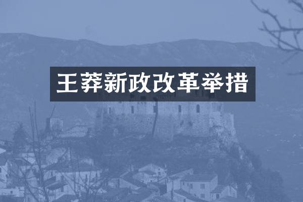 王莽新政改革举措