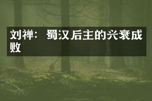 刘禅：蜀汉后主的兴衰成败