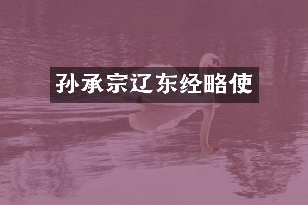 孙承宗辽东经略使