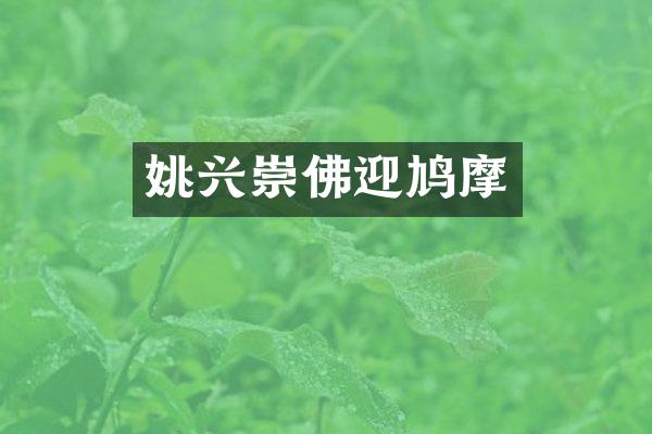 姚兴崇佛迎鸠摩
