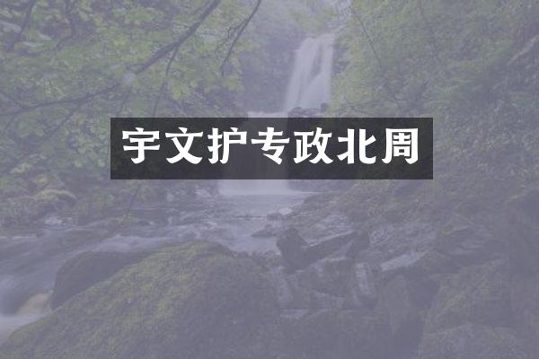 宇文护专政北周