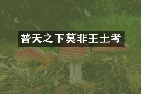 普天之下莫非王土考