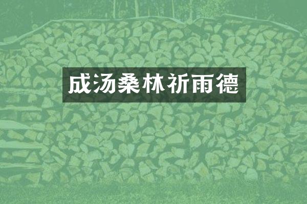 成汤桑林祈雨德