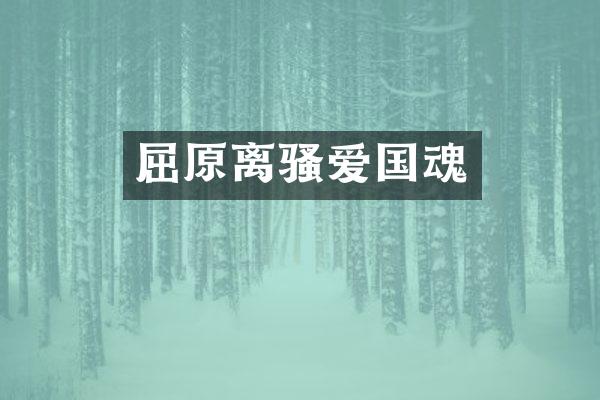屈原离爱国魂