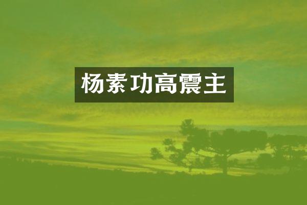 杨素功高震主
