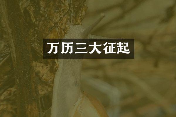 万历三大征起