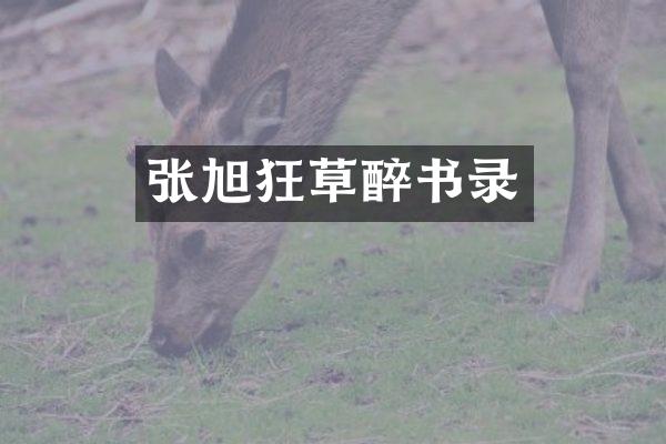 张旭狂草醉书录