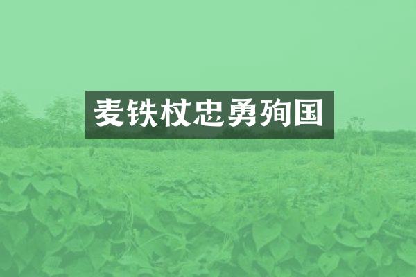 麦铁杖忠勇殉国