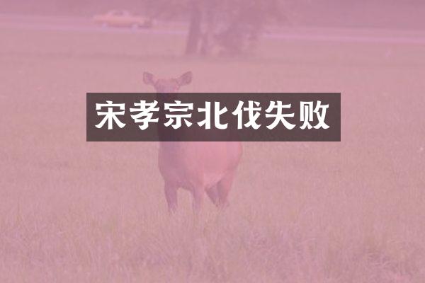 宋孝宗北伐失败