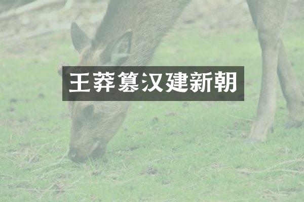 王莽篡汉建新朝