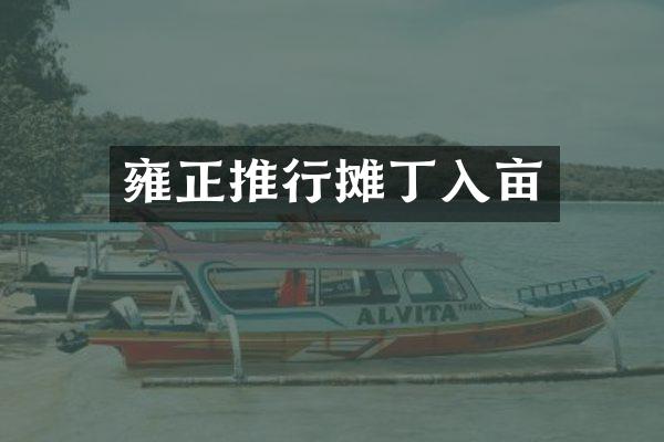 雍正推行摊丁入亩