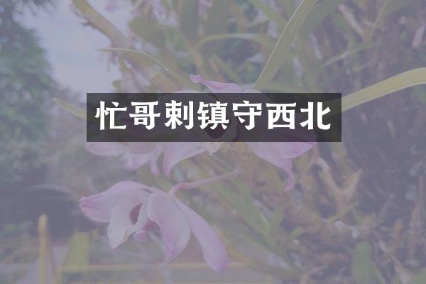 忙哥剌镇守西北