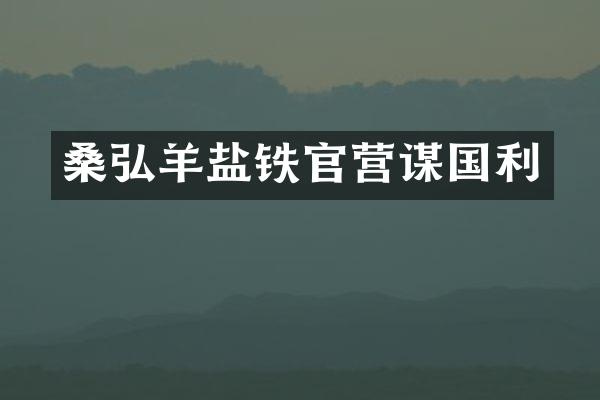 桑弘羊盐铁官营谋国利
