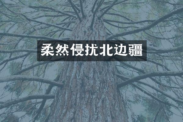柔然侵扰北边疆