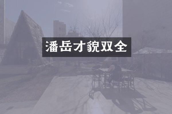 潘岳才貌双全
