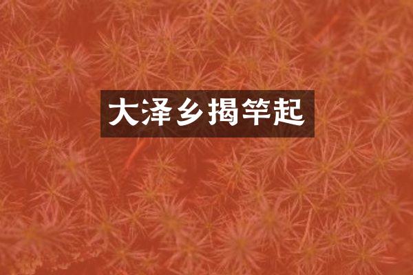 大泽乡揭竿起