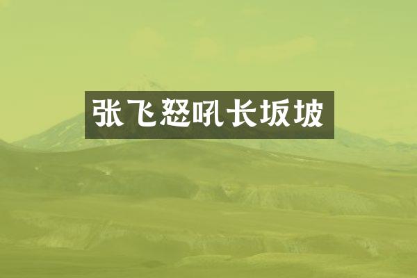 张飞怒吼长坂坡
