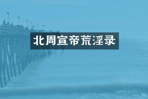 北周宣帝录