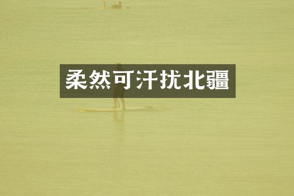 柔然可汗扰北疆