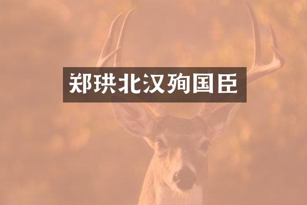 郑珙北汉殉国臣